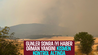 Sakarya'da başlayıp Bilecik'e sıçrayan orman yangını kısmen kontrol altında