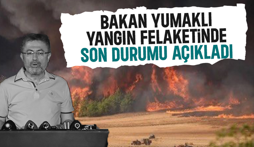 Sakarya'da başlayıp Bilecik'e sıçrayan orman yangını üçüncü gününde