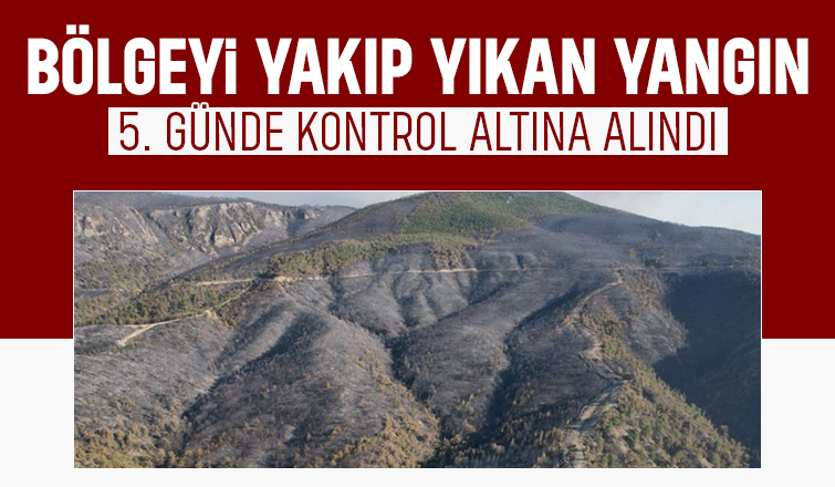 Sakarya'da başlayıp Bilecik'e sıçrayan yangın 5. günde kontrol altına alındı