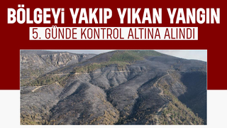 Sakarya'da başlayıp Bilecik'e sıçrayan yangın 5. günde kontrol altına alındı