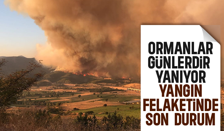 Sakarya'da başlayıp Bilecik'e sıçrayan yangın felaketinde son durum