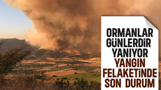 Sakarya'da başlayıp Bilecik'e sıçrayan yangın felaketinde son durum