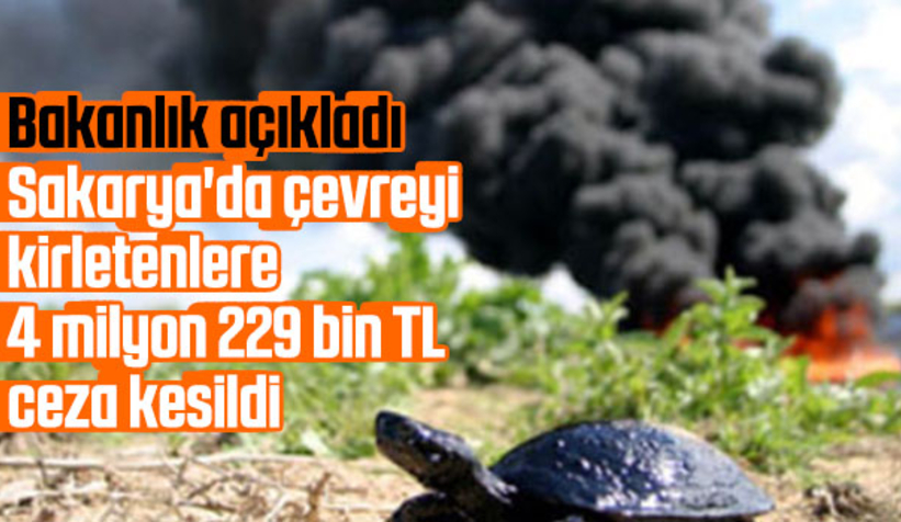 Sakarya'da çevreye kirletenlere kesilen ceza açıklandı