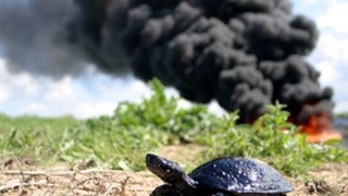 Sakarya'da çevreye kirletenlere kesilen ceza açıklandı