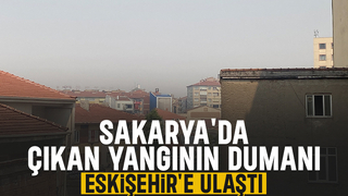 Sakarya'da çıkan orman yangınının dumanı Eskişehir'e ulaştı  