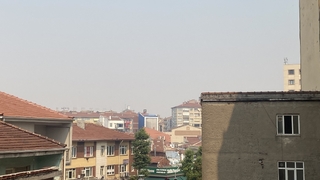 Sakarya'da çıkan orman yangınının dumanı Eskişehir'e ulaştı