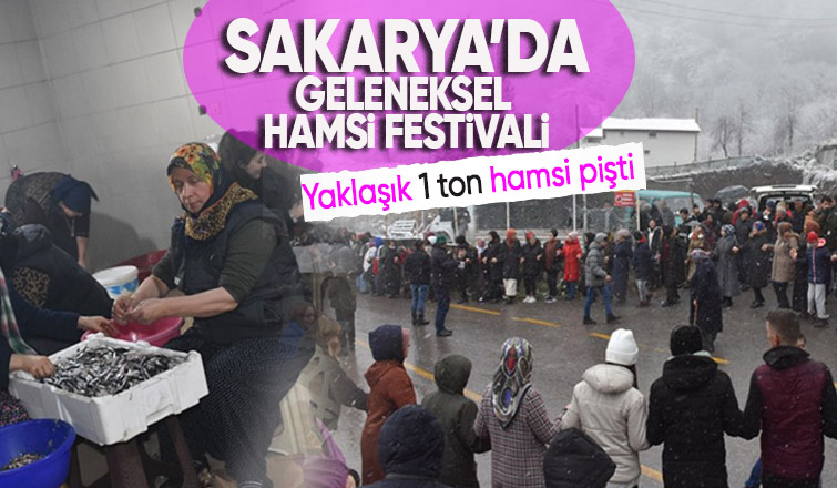 Sakarya da coşkulu festival