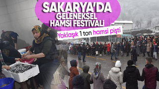Sakarya da coşkulu festival