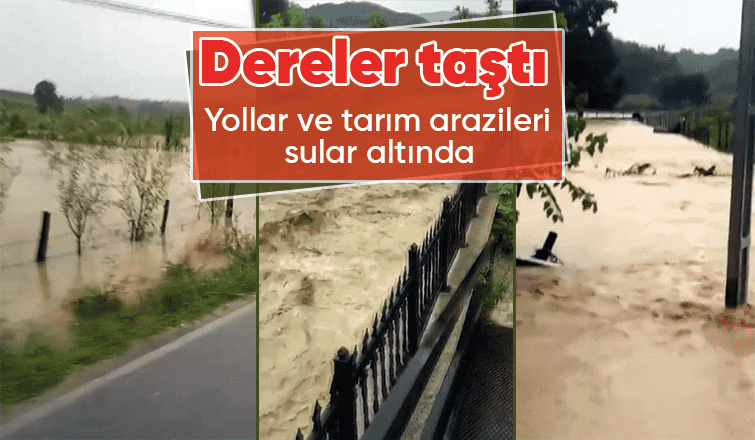 Sakarya'da dereler taştı