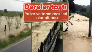 Sakarya'da dereler taştı