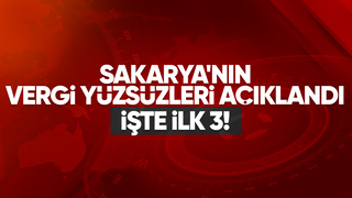Sakarya'da en çok vergi borcu olanlar belli oldu