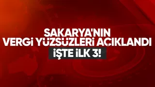 Sakarya'da en çok vergi borcu olanlar belli oldu