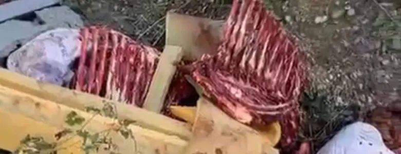 Sakarya'da et kesenler yakalanırken etlerin akıbeti merak uyandırdı