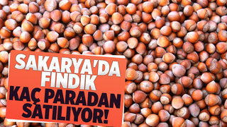 Sakarya'da fındık fiyatında son durum
