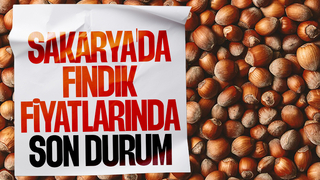 Sakarya'da fındık fiyatları arttı