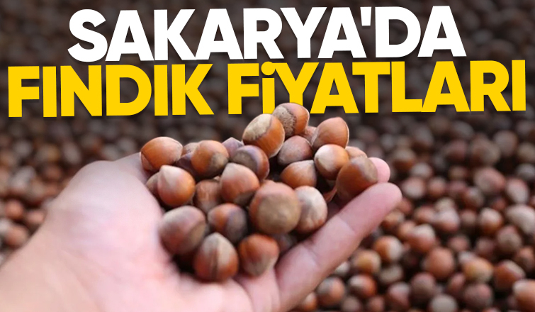 Sakarya'da fındık fiyatları belli oldu