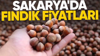 Sakarya'da fındık fiyatları belli oldu
