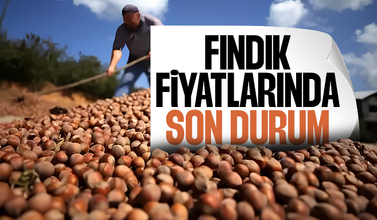 Sakarya'da fındık fiyatları belli oldu