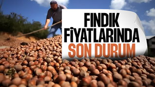Sakarya'da fındık fiyatları belli oldu
