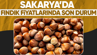 Sakarya'da fındık fiyatları belli oldu
