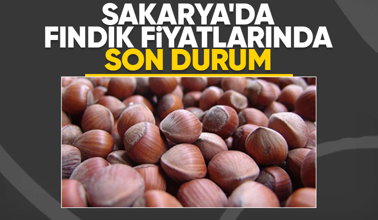 Sakarya'da fındık fiyatları haftaya nasıl başladı; İşte son durum