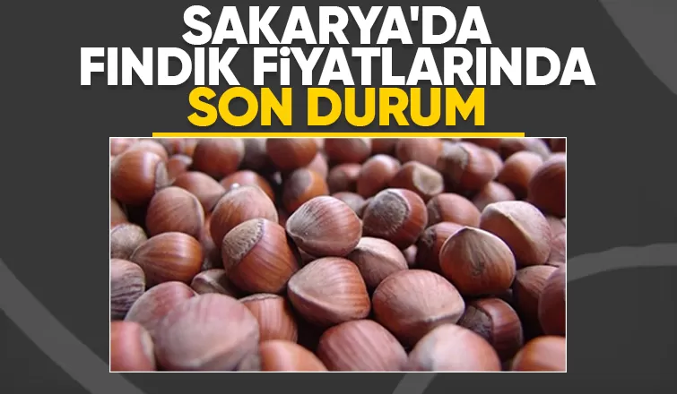 Sakarya'da fındık fiyatları haftaya nasıl başladı; İşte son durum