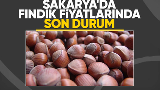 Sakarya'da fındık fiyatları haftaya nasıl başladı; İşte son durum