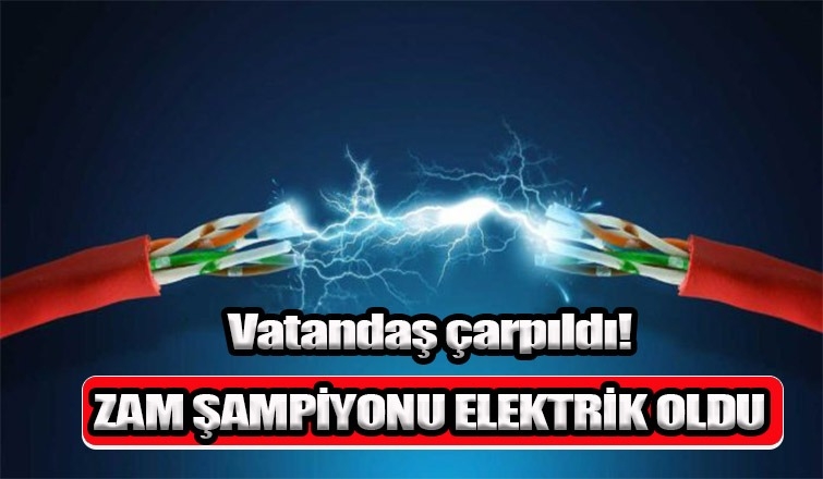 Sakarya'da fiyatı en çok artan ürün elektrik oldu