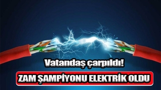 Sakarya'da fiyatı en çok artan ürün elektrik oldu