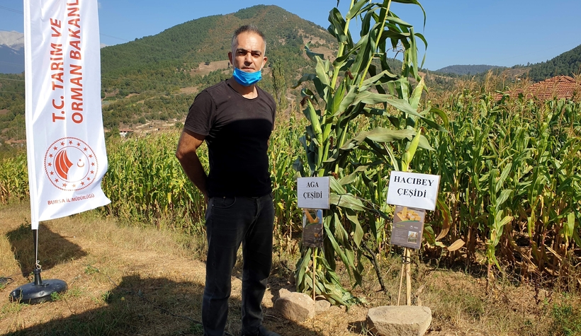 Sakarya'da geliştirildi, ilk hasadı yapıldı