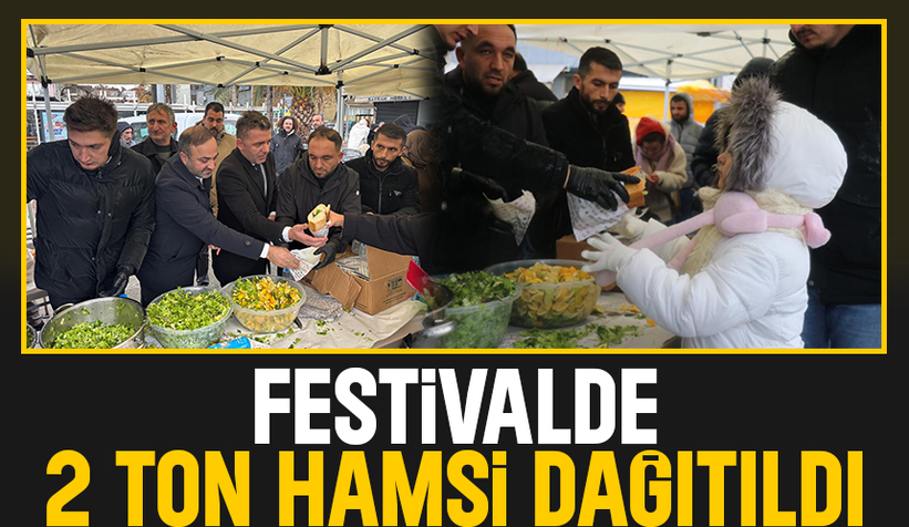 Sakarya'da hamsi festivali