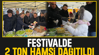 Sakarya'da hamsi festivali