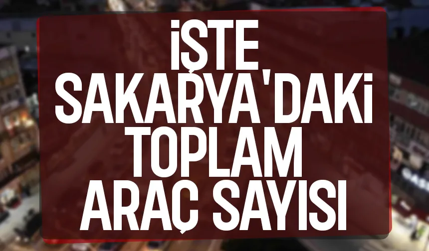 Sakarya'da hangi araçtan ne kadar var? İşte son rakamlar