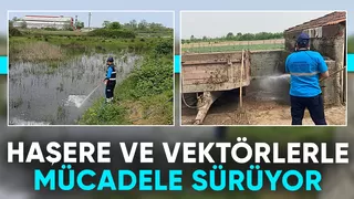 Sakarya'da haşere ve vektörlerle mücadele