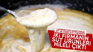Sakarya'da iki firmanın süt ürününde bakın ne çıktı