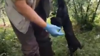 Sakarya'da ilk kez bulundu ama ölüydü