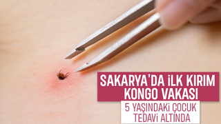 Sakarya'da ilk kırım kongo vakası