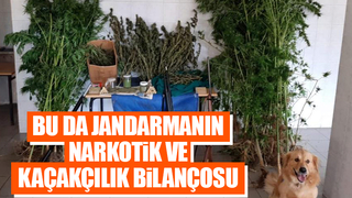 Sakarya'da jandarma narkotik ve kaçakçılık bilançosunu açıkladı