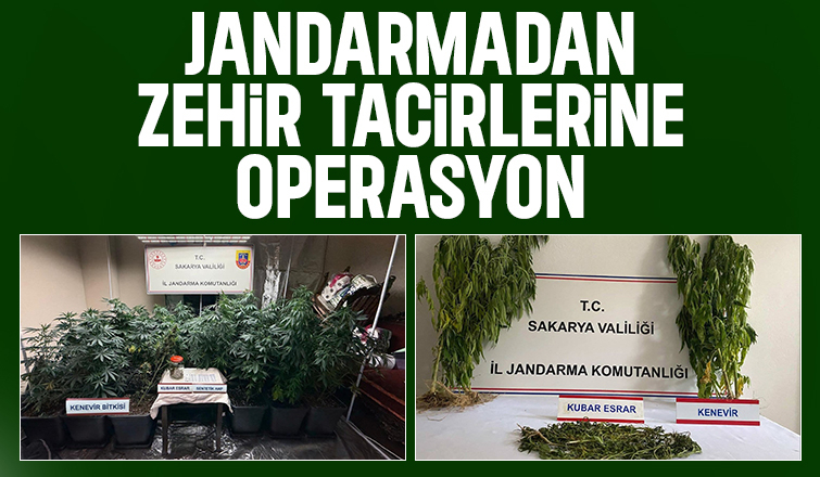 Sakarya'da jandarmadan 3 ayrı uyuşturucu operasyonu