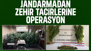 Sakarya'da jandarmadan 3 ayrı uyuşturucu operasyonu