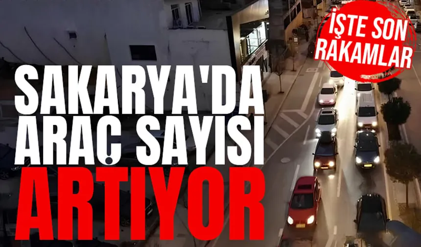 Sakarya'da kaç araç var; İşte son rakam