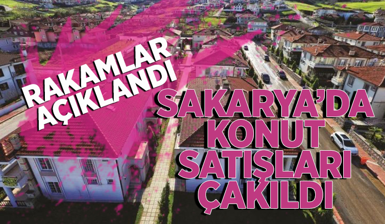 Sakarya'da kaç konut satıldı