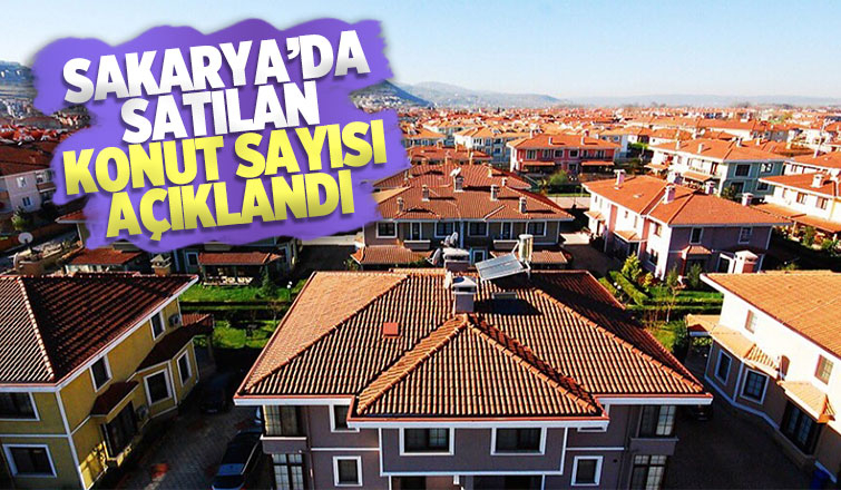 Sakarya'da kaç konut satıldı