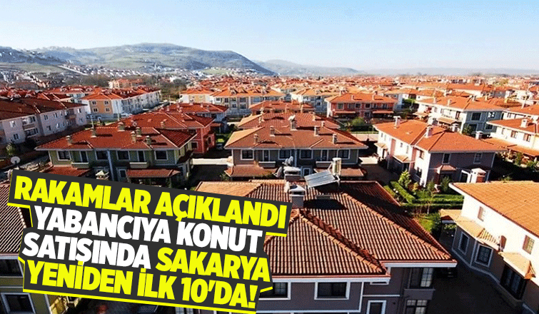 Sakarya'da kaç konut satıldı?