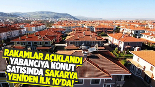 Sakarya'da kaç konut satıldı?