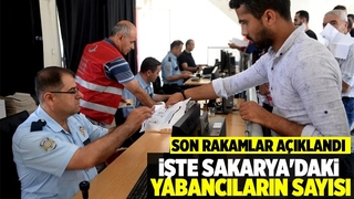 Sakarya'da kaç yabancı var; İşte son rakamlar