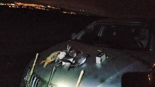 Sakarya'da kaçak avcılığa geçit yok