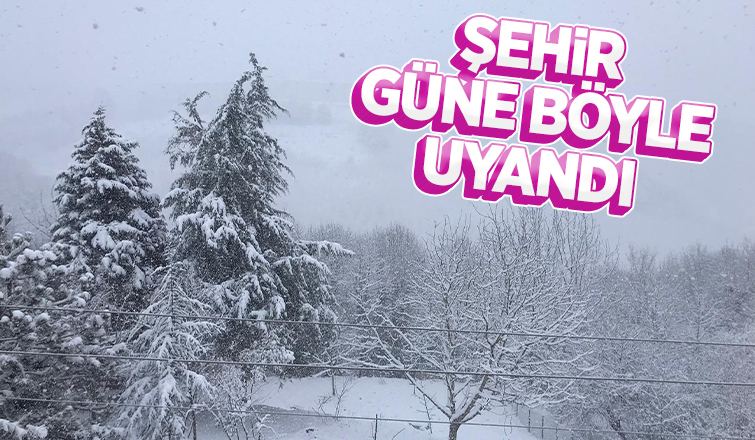 Sakarya'da kar etkili oluyor