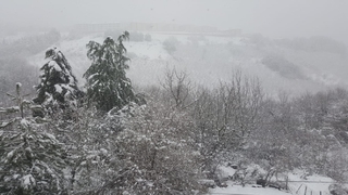 Sakarya'da kar şiddetini arttırdı