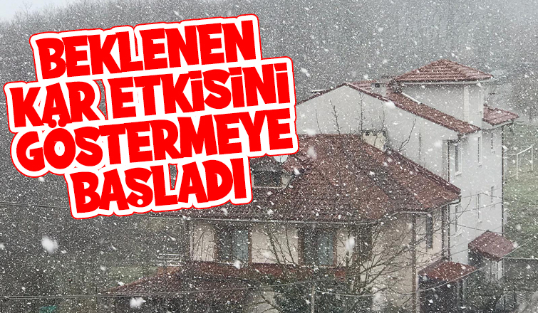 Sakarya'da kar yağışı başladı